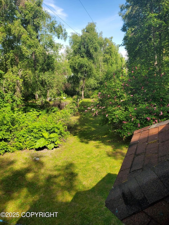 22120 S Easy St, Talkeetna, AK 99676 - view of grassy yard