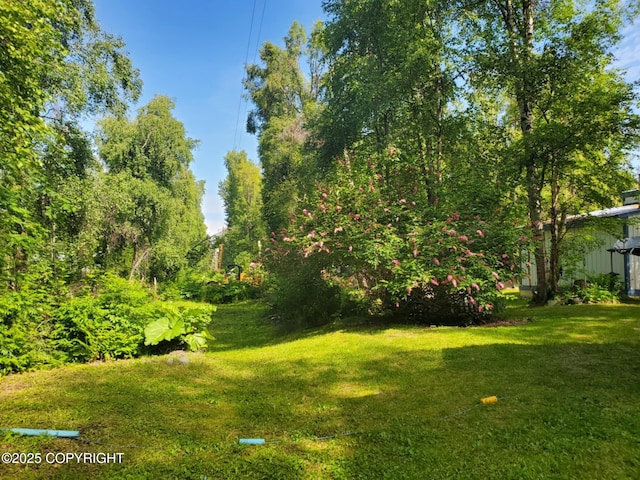 22120 S Easy St, Talkeetna, AK 99676 - view of grassy yard
