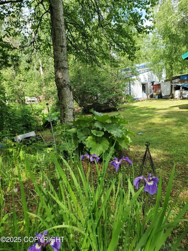 22120 S Easy St, Talkeetna, AK 99676 - view of grassy yard