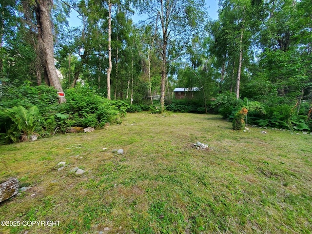 22120 S Easy St, Talkeetna, AK 99676 - view of grassy yard