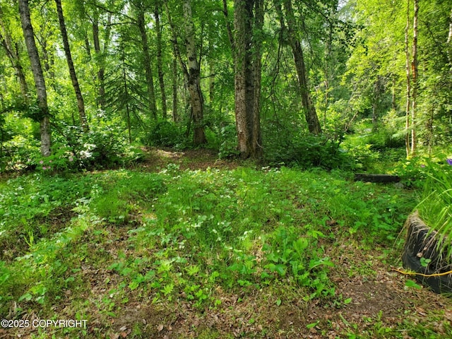 22120 S Easy St, Talkeetna, AK 99676 - view of woods