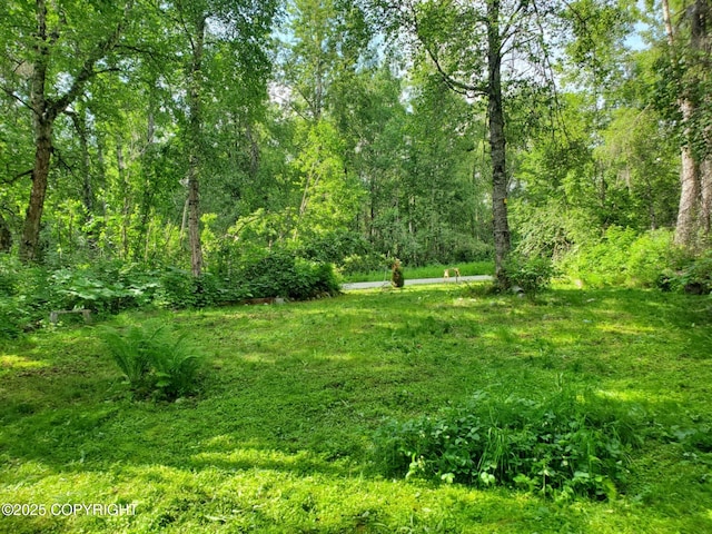 22120 S Easy St, Talkeetna, AK 99676 - view of yard with a wooded view