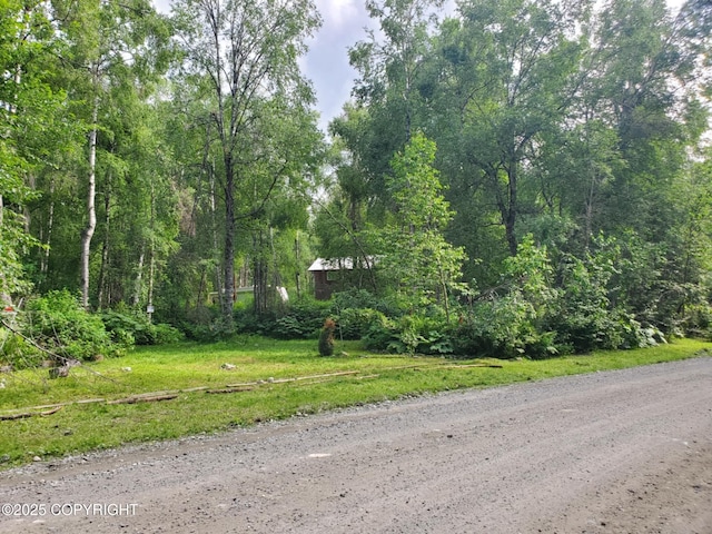 22120 S Easy St, Talkeetna, AK 99676 - view of road featuring a forest view