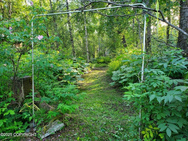 22120 S Easy St, Talkeetna, AK 99676 - view of woods
