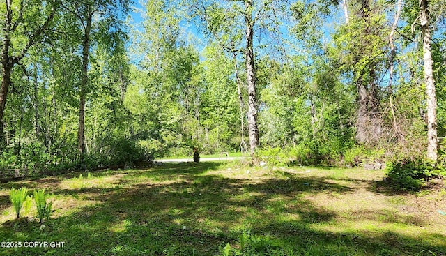 22120 S Easy St, Talkeetna, AK 99676 - view of yard featuring a wooded view