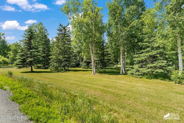 7051 E Lower Mesa Dr, Palmer, AK 99645