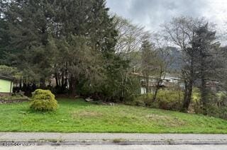 L54 Baranof Ave, Ketchikan, AK 99901 - photo 1
