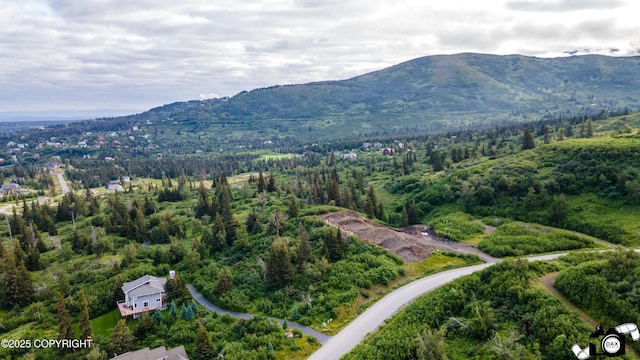 L6B2 Southpointe Ridge Dr, Anchorage, AK 99516