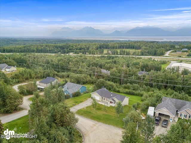 7908 W Mustafa Cir, Wasilla, AK 99623 - photo 62