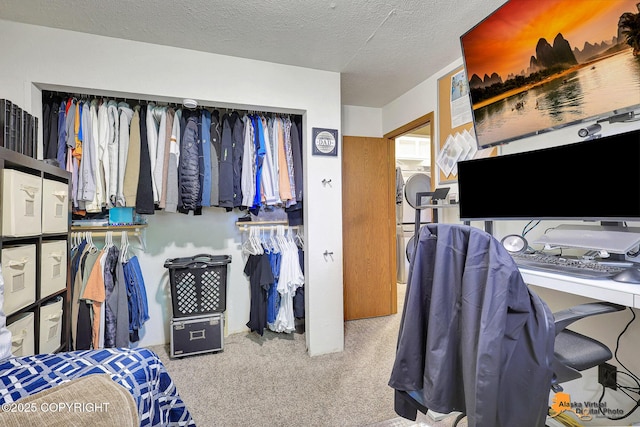 3502 Wyoming Dr, Anchorage, AK 99517 - photo 15