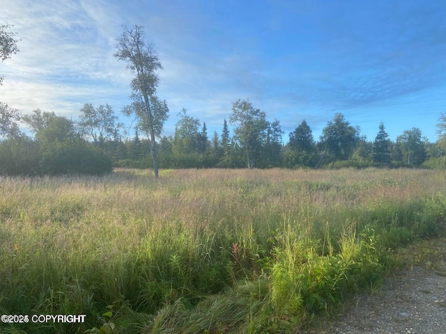 60576 Jannys Ave, Clam Gulch, AK 99568