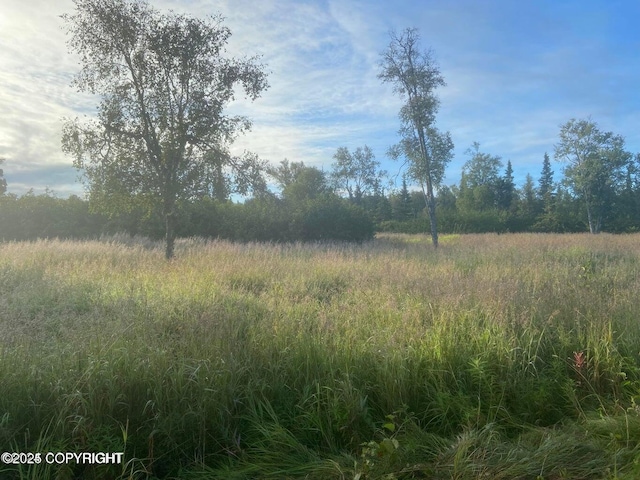 60576 Jannys Ave, Clam Gulch, AK 99568