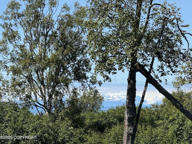 60576 Jannys Ave, Clam Gulch, AK 99568