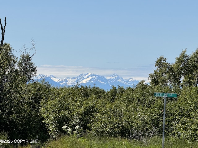 60576 Jannys Ave, Clam Gulch, AK 99568