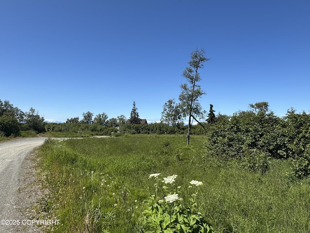 60576 Jannys Ave, Clam Gulch, AK 99568