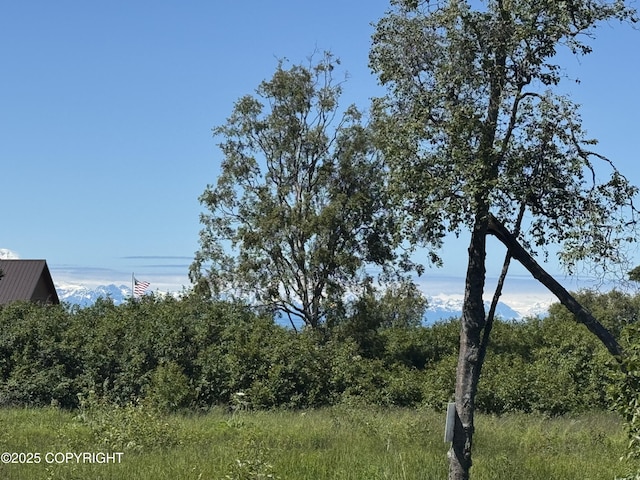 60576 Jannys Ave, Clam Gulch, AK 99568