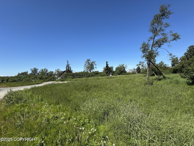 60576 Jannys Ave, Clam Gulch, AK 99568
