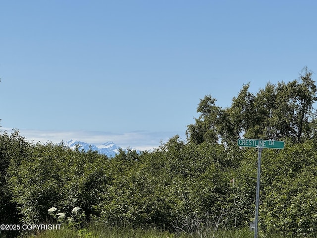 60576 Jannys Ave, Clam Gulch, AK 99568