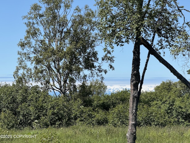 60576 Jannys Ave, Clam Gulch, AK 99568