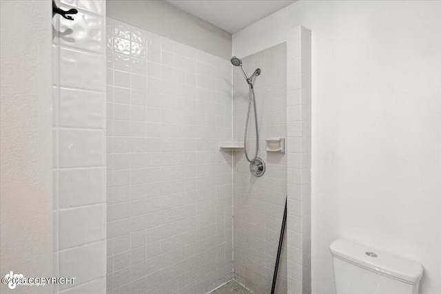 18723 N Lowrie Loop, Eagle River, AK 99577 - full bathroom with a tile shower and toilet
