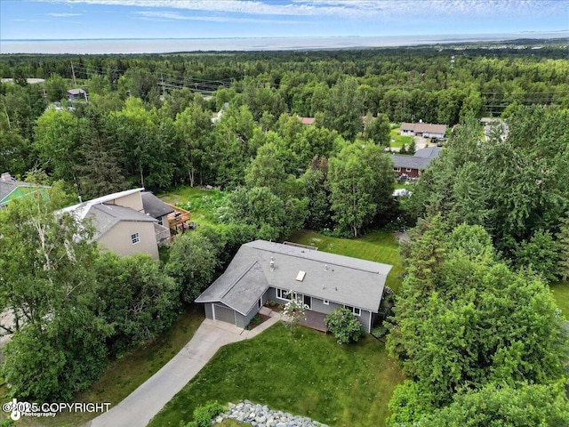 12220 Shiloh Rd, Anchorage, AK 99516 - drone / aerial view of a forest