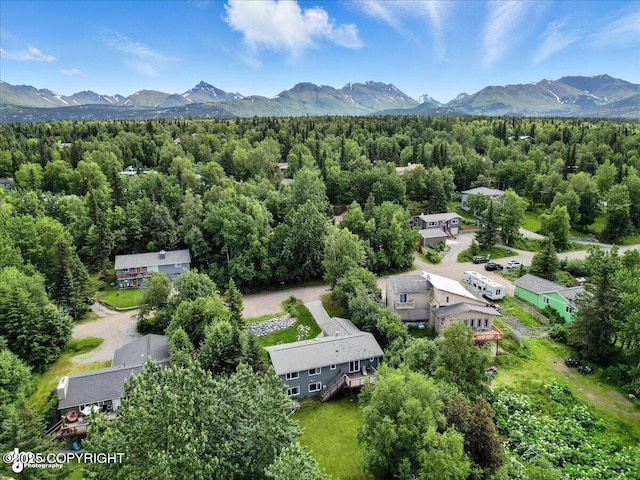 12220 Shiloh Rd, Anchorage, AK 99516 - drone / aerial view of mountains