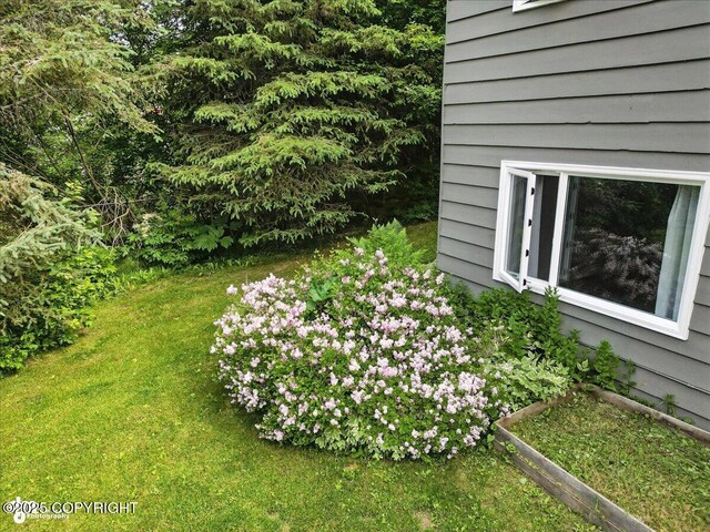 12220 Shiloh Rd, Anchorage, AK 99516 - view of green lawn