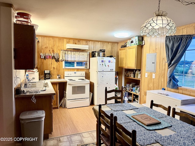 24220 Sterling Hwy, Ninilchik, AK 99639 - photo 10