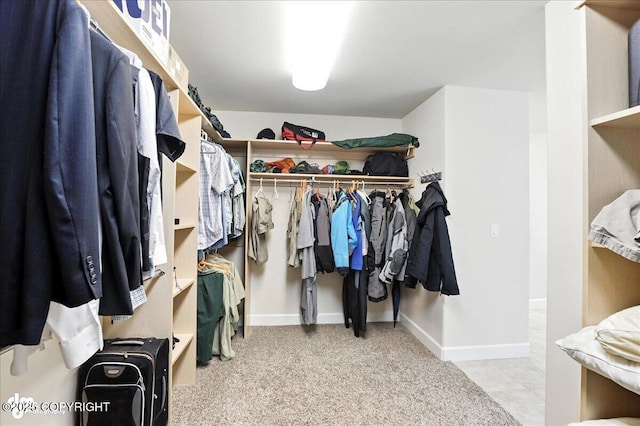 1677 Circlewood Dr, Anchorage, AK 99516 - spacious closet featuring carpet flooring