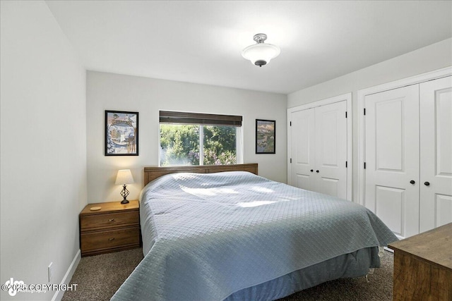 1677 Circlewood Dr, Anchorage, AK 99516 - carpeted bedroom featuring two closets and baseboards