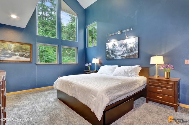 935 Timberline Dr, Girdwood, AK 99587 - photo 29