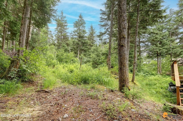 935 Timberline Dr, Girdwood, AK 99587 - photo 58