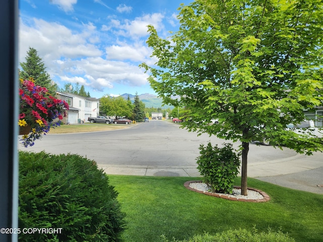 3920 Red Talon Dr, Anchorage, AK 99507 - view of asphalt street with a mountain view