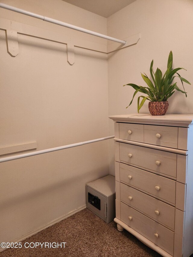 3920 Red Talon Dr, Anchorage, AK 99507 - walk in closet with dark colored carpet