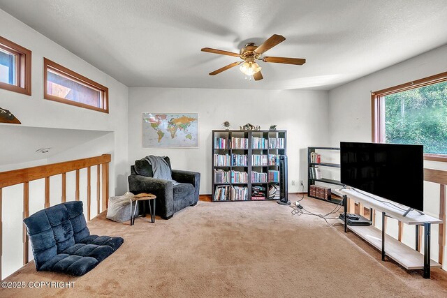 300 W Scheelite Dr, Wasilla, AK 99654 - photo 22