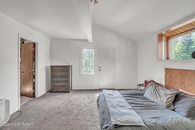 300 W Scheelite Dr, Wasilla, AK 99654 - photo 40