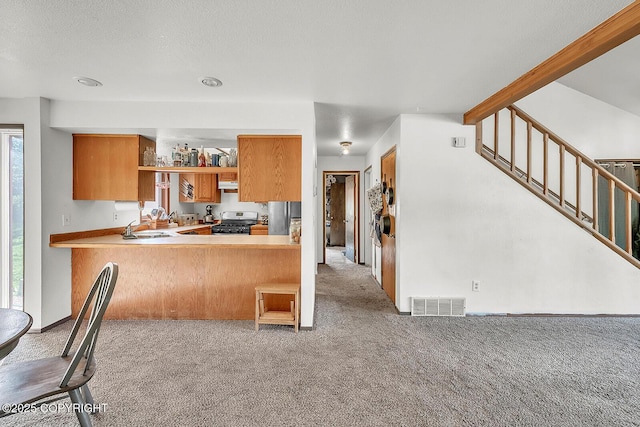 300 W Scheelite Dr, Wasilla, AK 99654 - photo 13