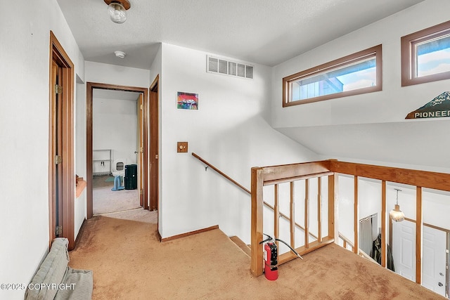 300 W Scheelite Dr, Wasilla, AK 99654 - photo 29