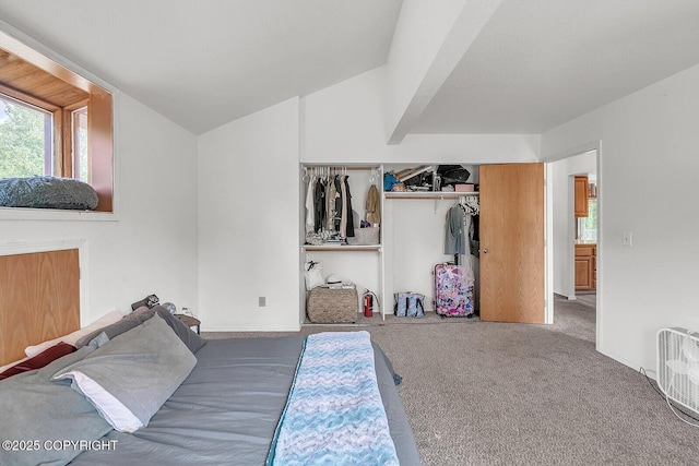 300 W Scheelite Dr, Wasilla, AK 99654 - photo 41
