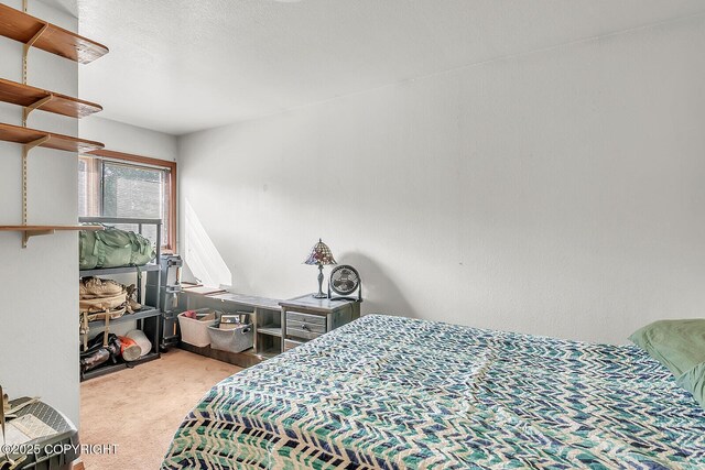 300 W Scheelite Dr, Wasilla, AK 99654 - photo 32