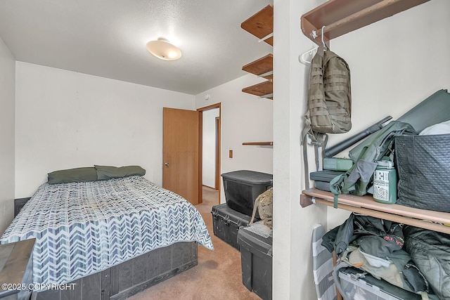 300 W Scheelite Dr, Wasilla, AK 99654 - photo 31