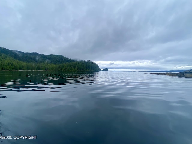 L4PARE Naukati Bay, Naukati Bay, AK 99921 - photo 4