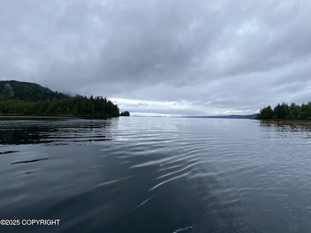 L4PARE Naukati Bay, Naukati Bay, AK 99921 - photo 5