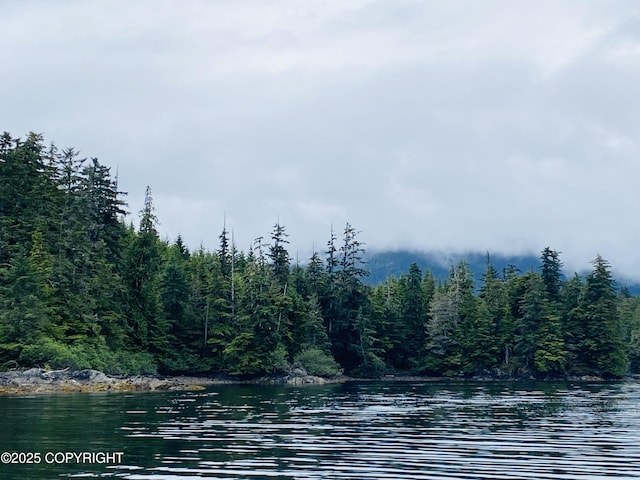 L4PARE Naukati Bay, Naukati Bay, AK 99921 - photo 1