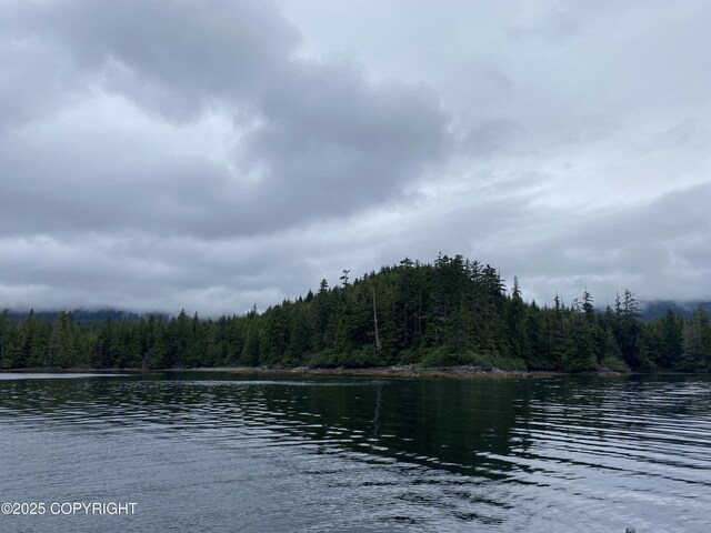 L4PARE Naukati Bay, Naukati Bay, AK 99921 - photo 8