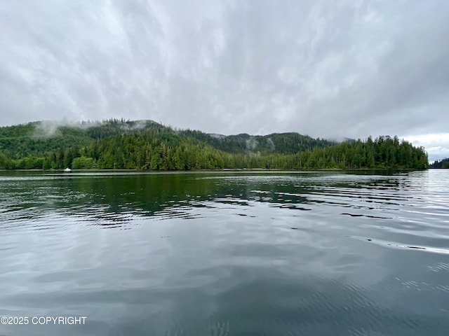 L4PARE Naukati Bay, Naukati Bay, AK 99921 - photo 10
