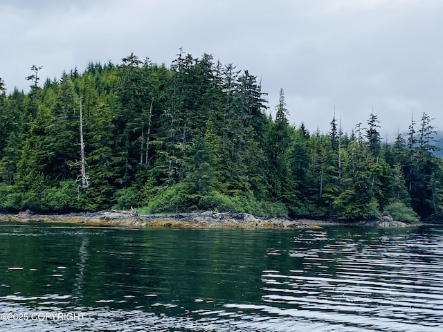 L4PARE Naukati Bay, Naukati Bay, AK 99921 - photo 3
