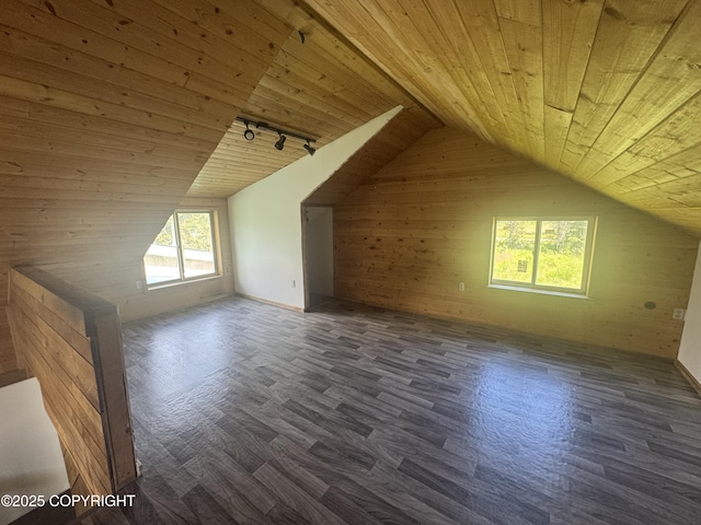 21577 Evelyn May St, Kasilof, AK 99610 - additional living space featuring wood ceiling, vaulted ceiling, wood walls, and wood finished floors