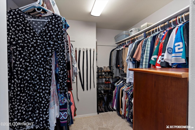 2943 Kingfisher Dr, Anchorage, AK 99502 - spacious closet featuring carpet floors