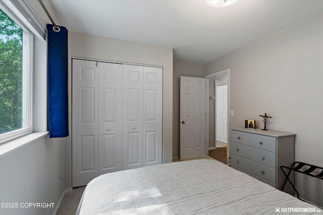 2943 Kingfisher Dr, Anchorage, AK 99502 - bedroom with carpet floors and a closet